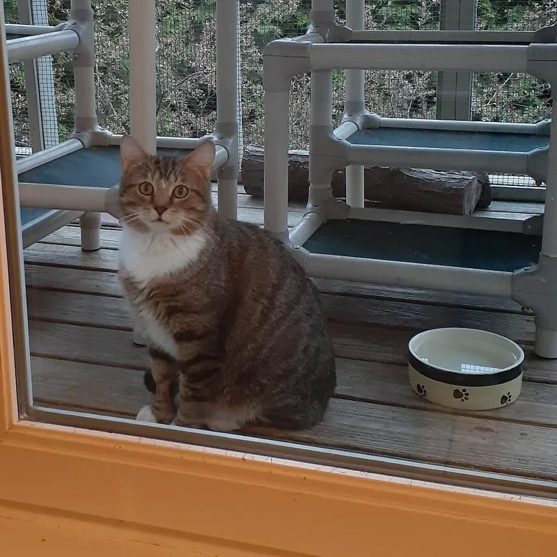 Theodore thumbnail 2