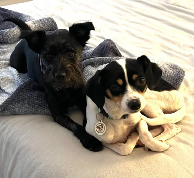 Johnny Gill thumbnail 2