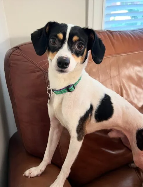 Johnny Gill thumbnail 3