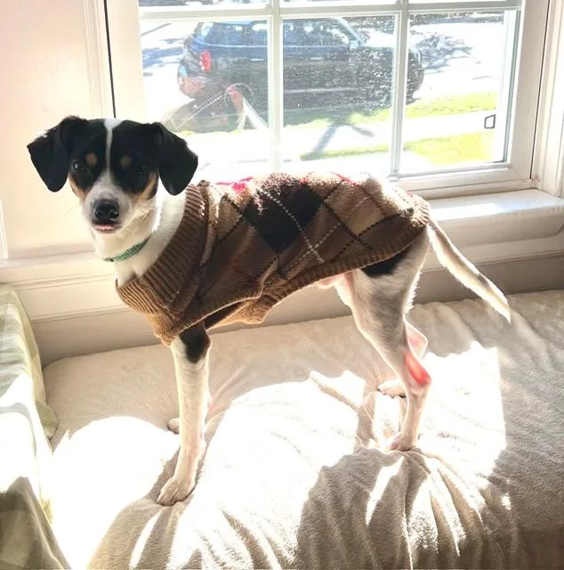 Johnny Gill thumbnail 4