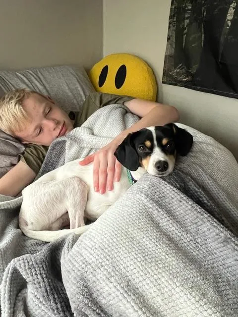 Johnny Gill thumbnail 5