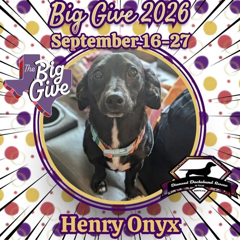 Henry Onyx