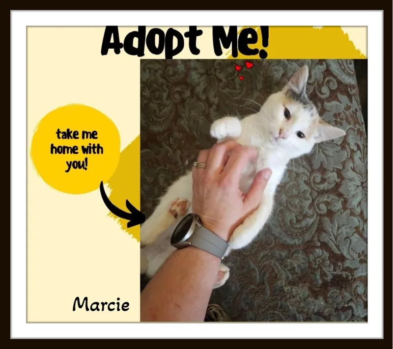 Marcie & Fergus  thumbnail 2