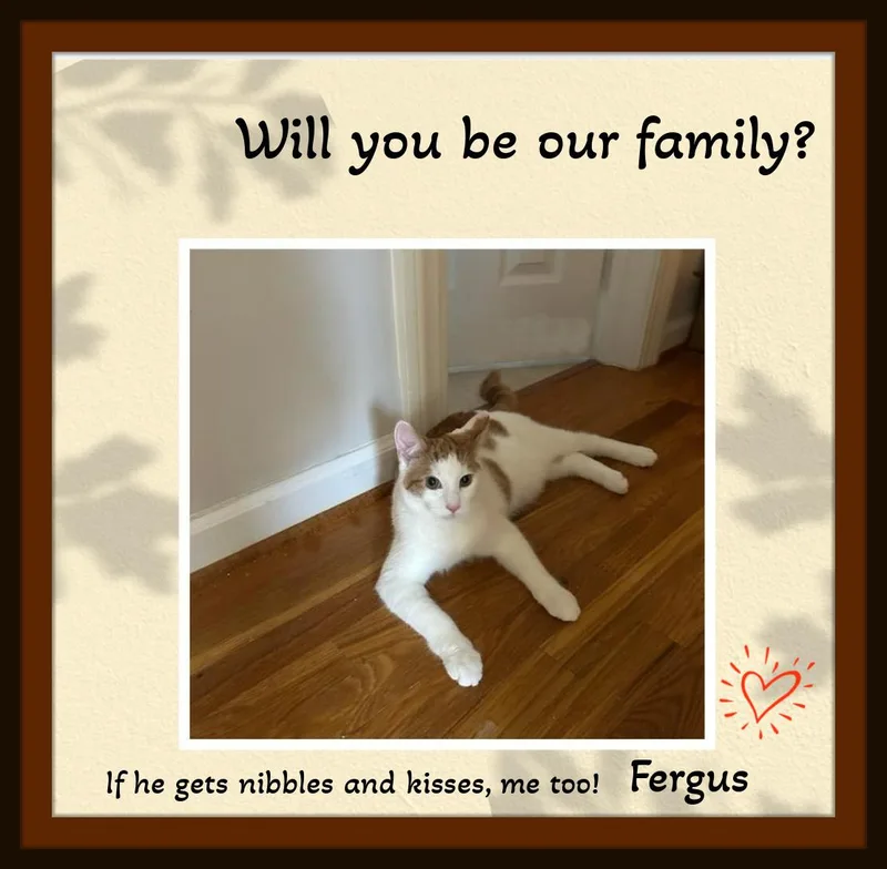 Marcie & Fergus  thumbnail 3