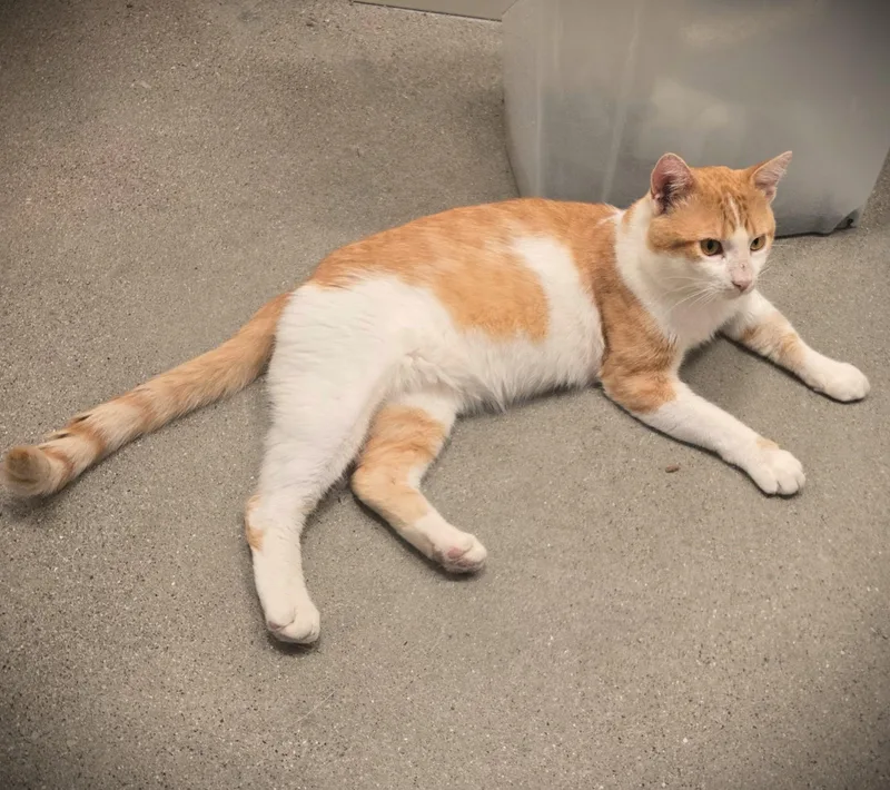 Floyd at Petmart Mankato thumbnail 4