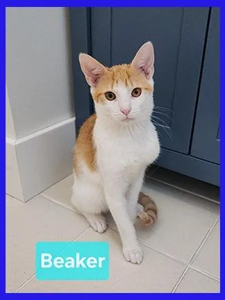 Beaker thumbnail 2