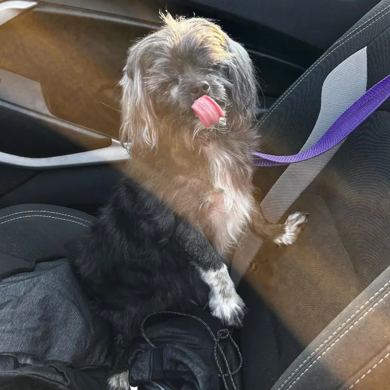 Coco thumbnail 2