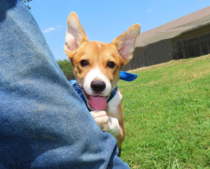Ernie CA thumbnail 3
