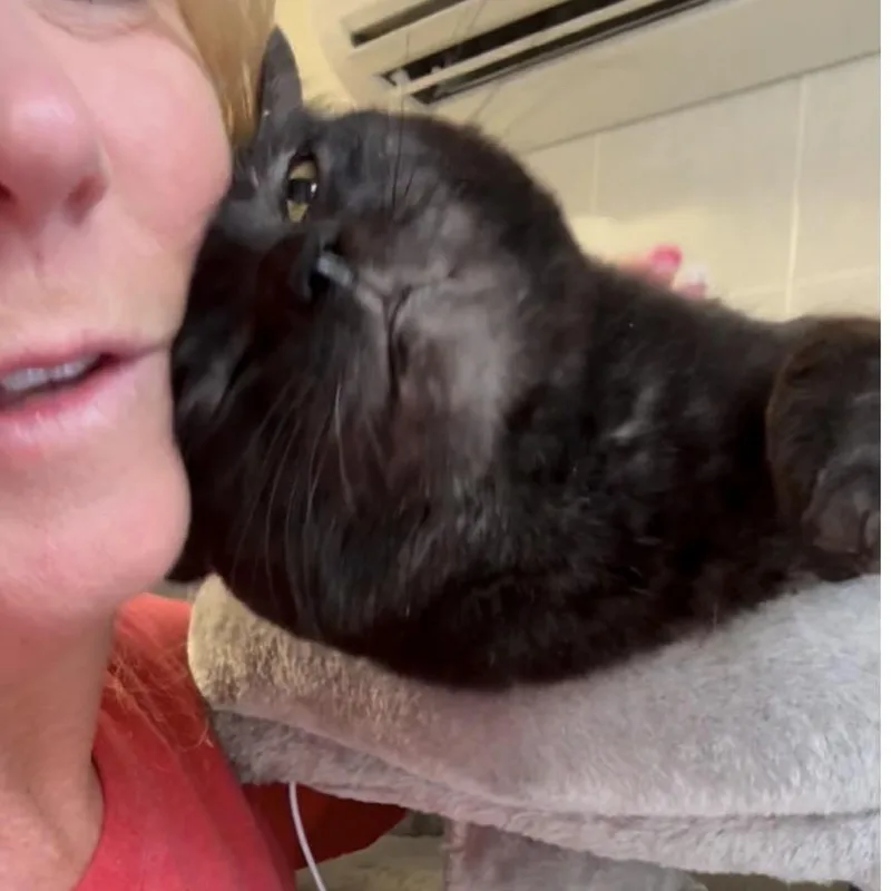 Tig And Jax Bonded thumbnail 4