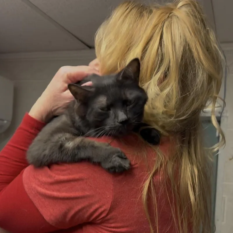 Tig And Jax Bonded thumbnail 5