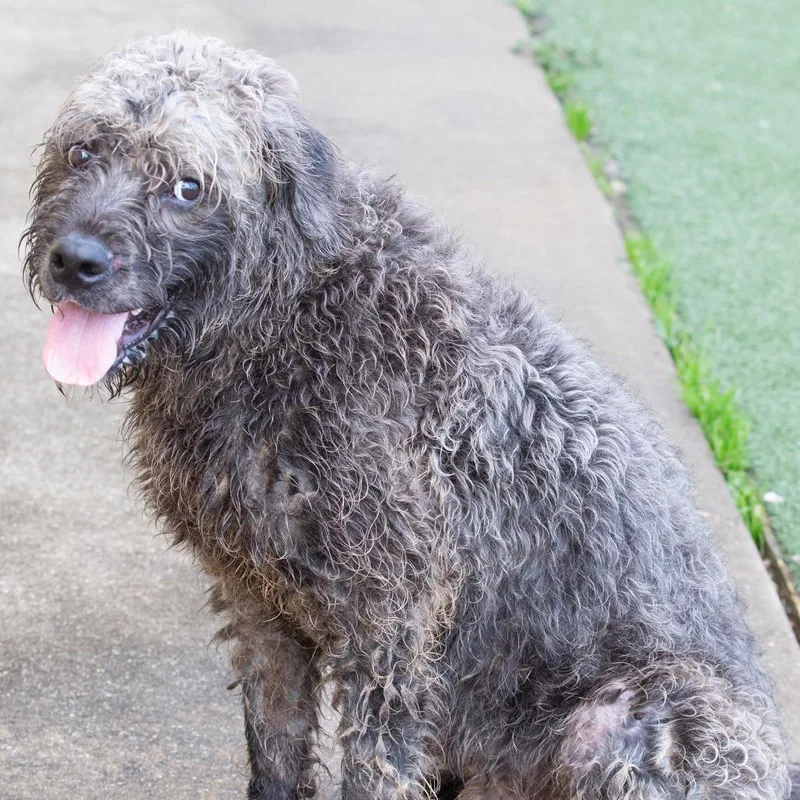 Sprocket thumbnail 2