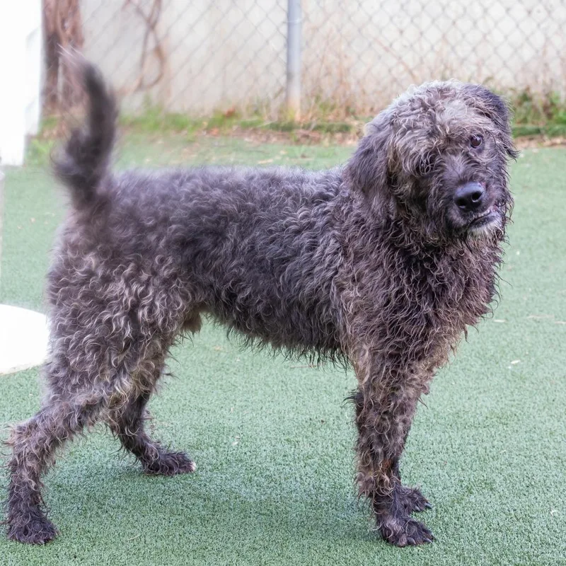 Sprocket thumbnail 3