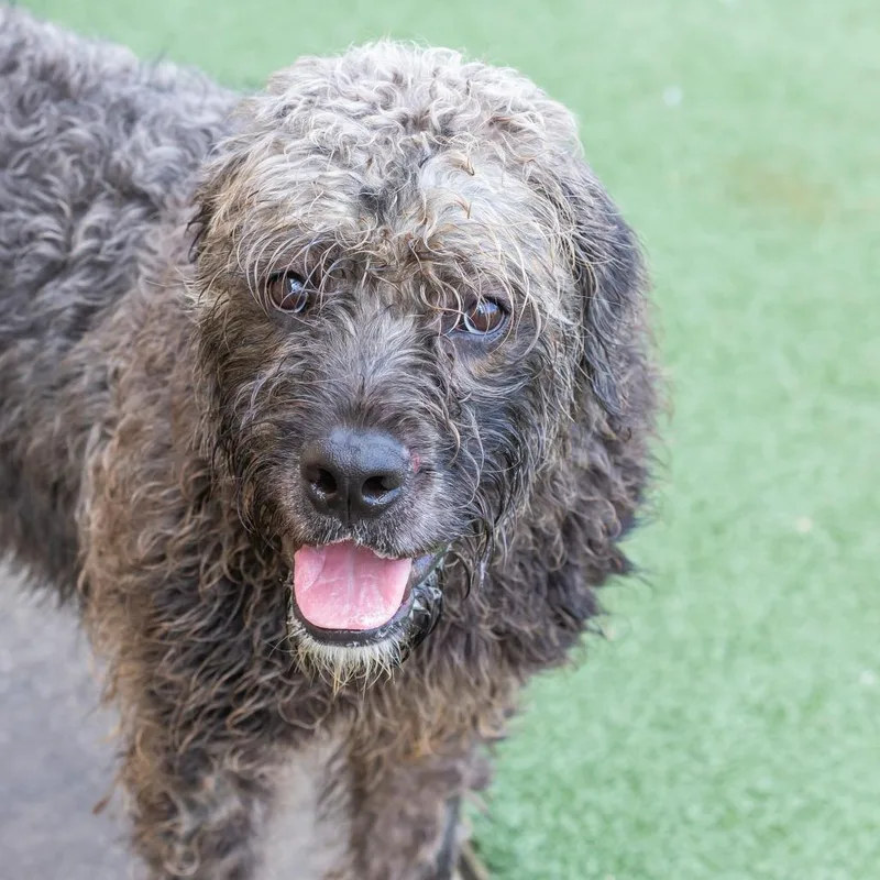 Sprocket thumbnail 4