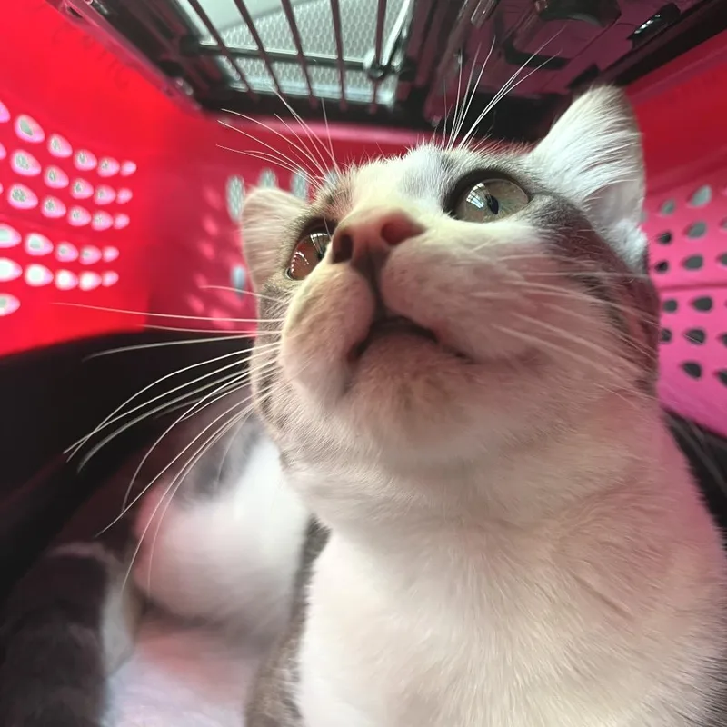 Fernando Colunga thumbnail 2