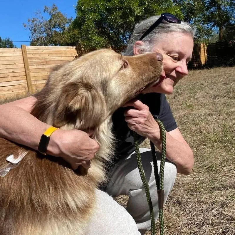 Henry Pc thumbnail 5