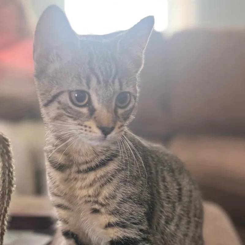 Lucy thumbnail 2