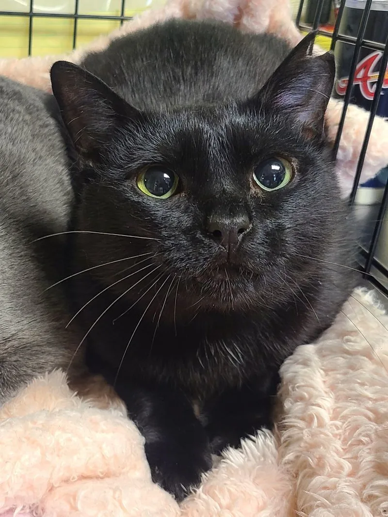 Meredith Grey & Darwin thumbnail 2