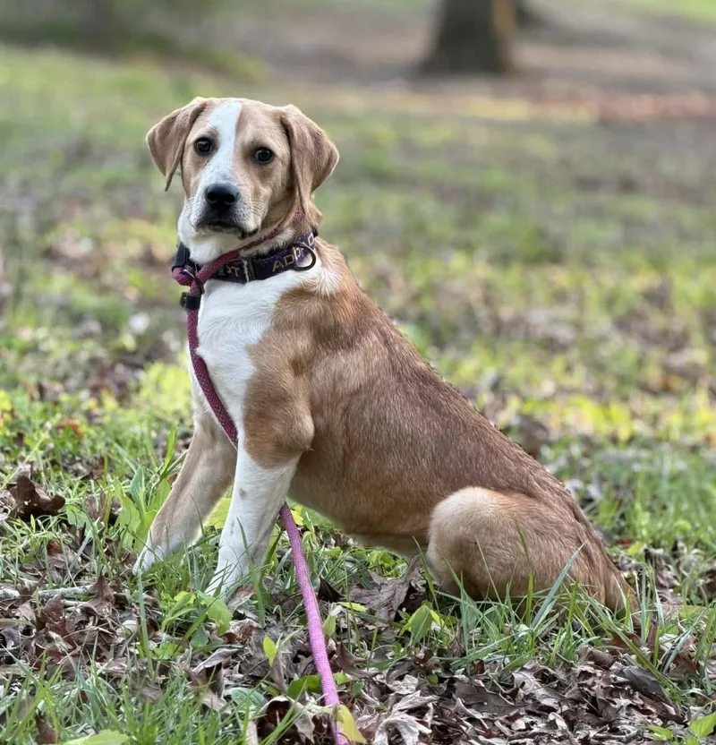 Darla Seago thumbnail 2