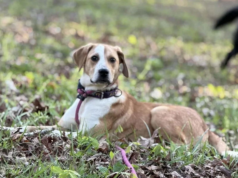 Darla Seago thumbnail 3