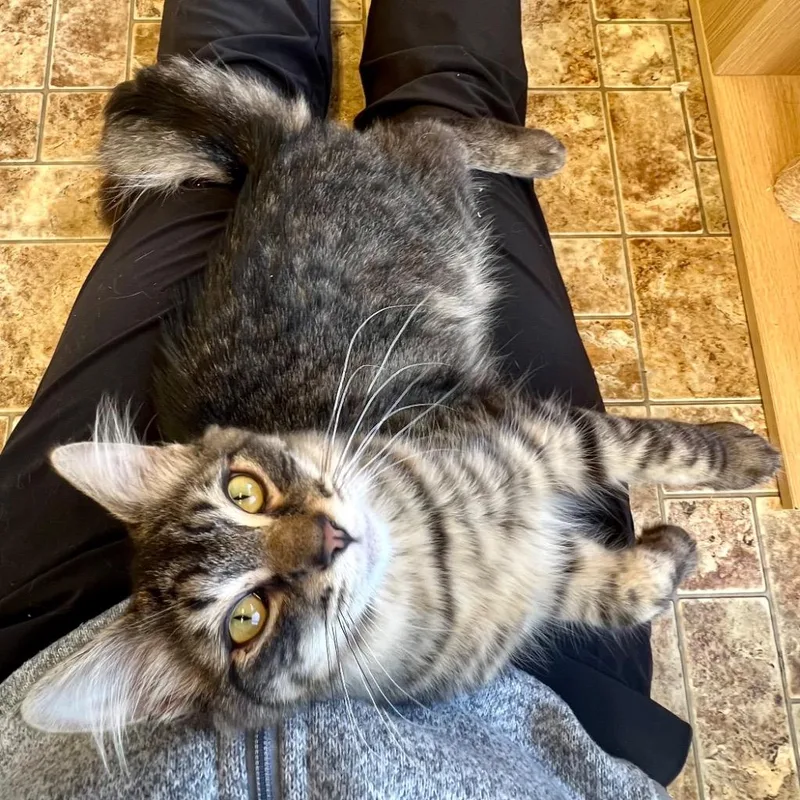 Gabriel