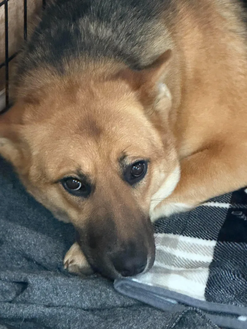 Promesse thumbnail 2