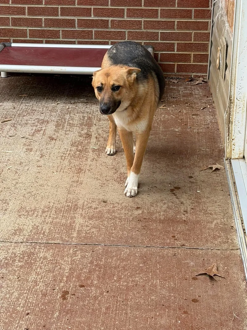 Promesse thumbnail 3