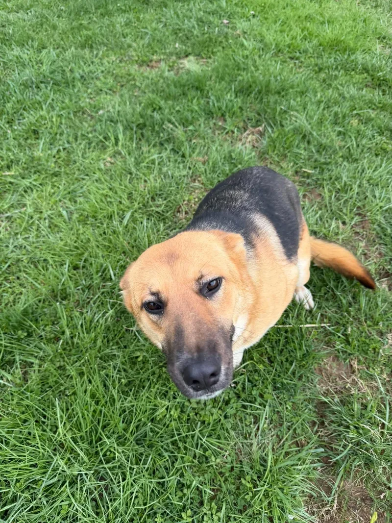 Promesse thumbnail 4