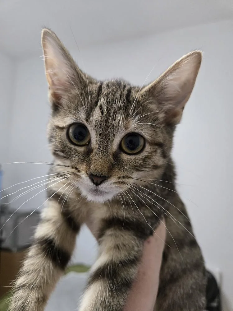 Minnie Lu thumbnail 3