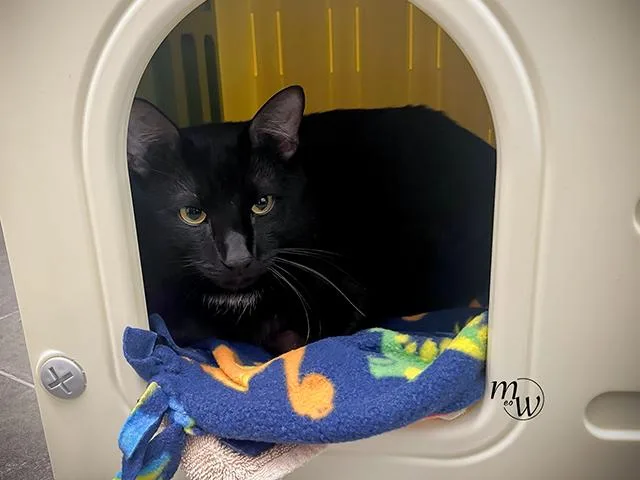 Salem