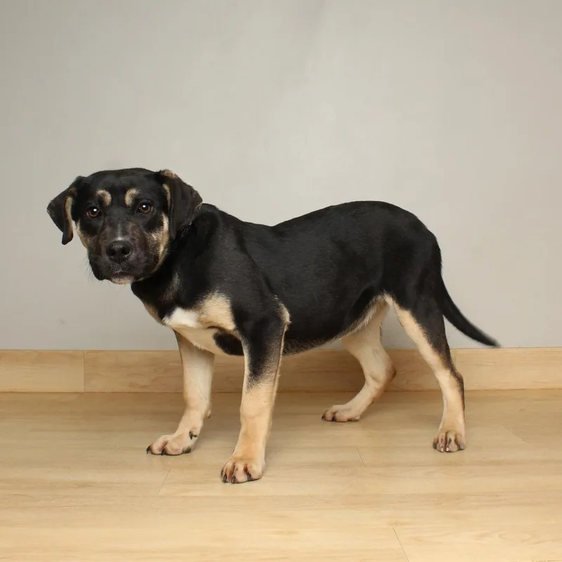 Ramona D thumbnail 2