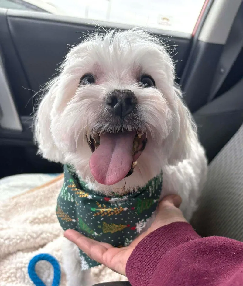 Nigiri Tx thumbnail 2