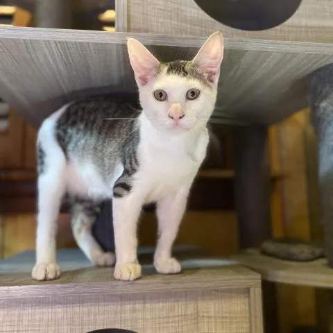 El Yucatan thumbnail 2