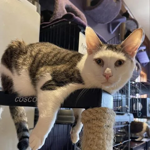 El Yucatan thumbnail 3