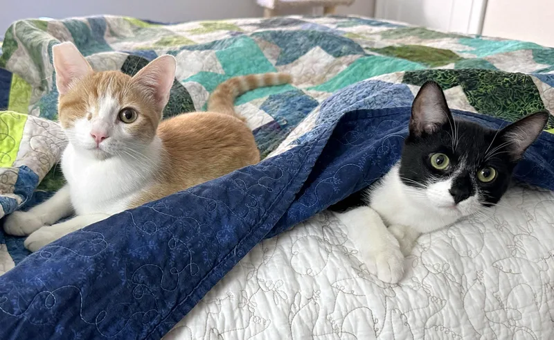 Jack And Sammy thumbnail 2