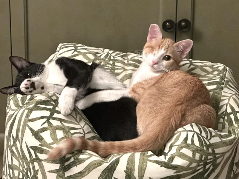 Jack And Sammy thumbnail 4