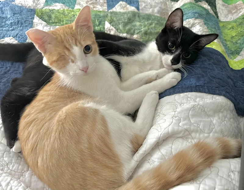 Jack And Sammy thumbnail 6