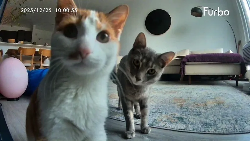 Luna and Coco thumbnail 3