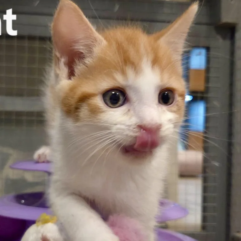 Toby Rocks a Bucket thumbnail 2