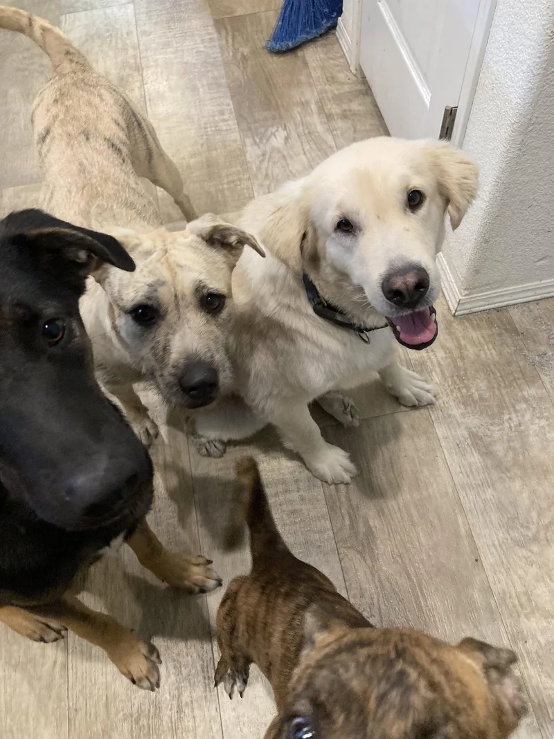 Robby thumbnail 3