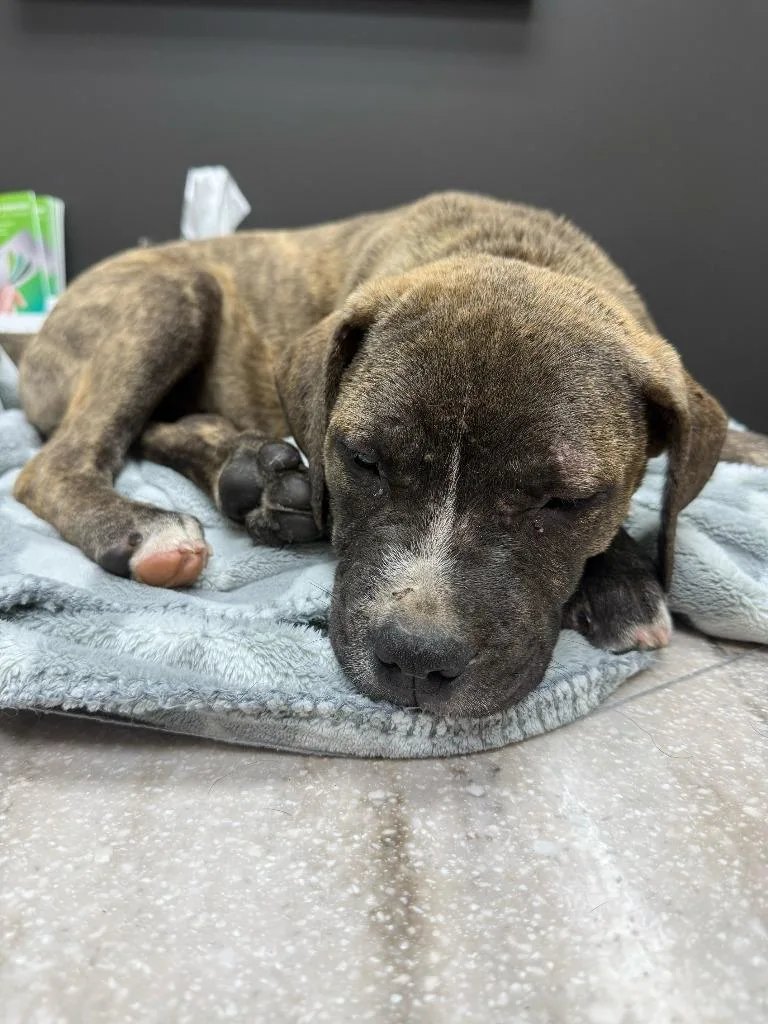 Phillip thumbnail 6
