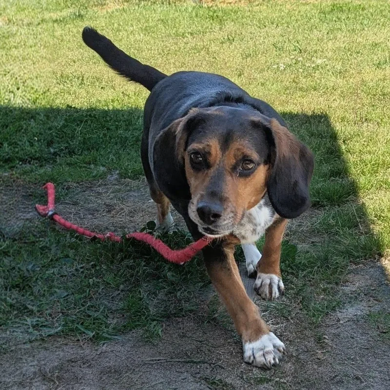 Pretty Penny thumbnail 2