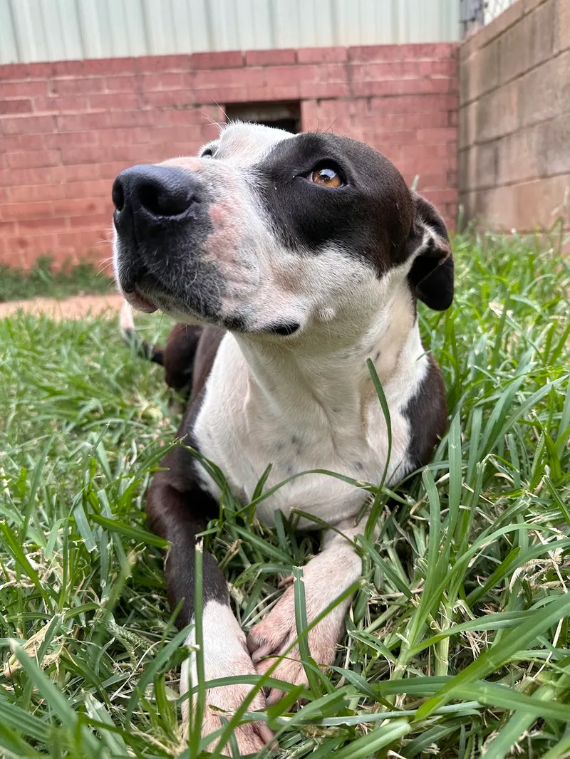 Deana Carter thumbnail 2