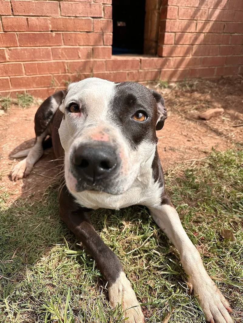 Deana Carter thumbnail 3