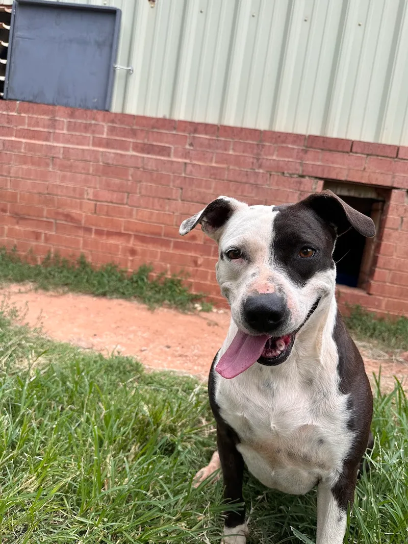 Deana Carter thumbnail 6