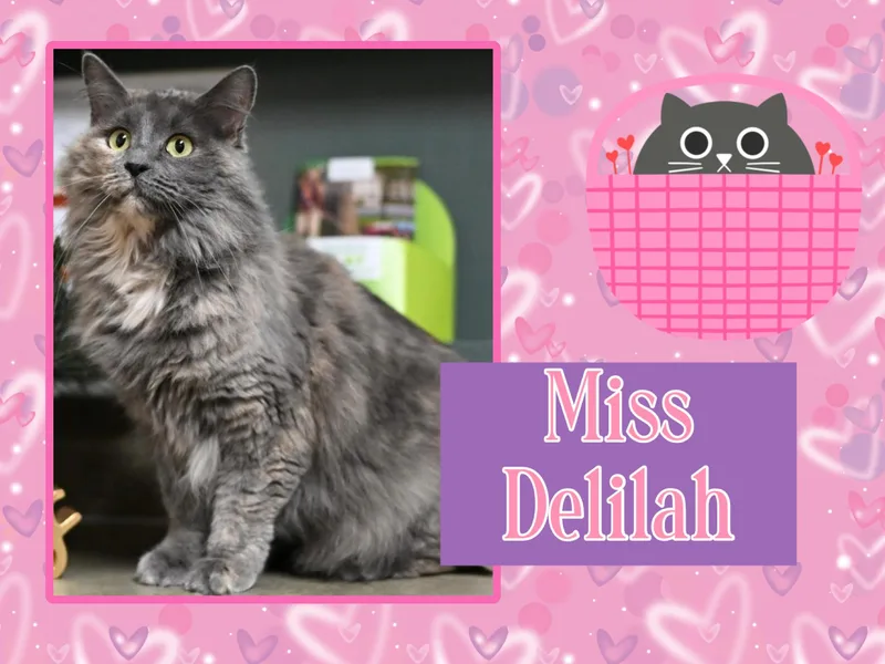 Delilah