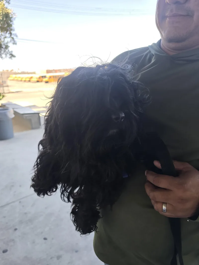 Roki