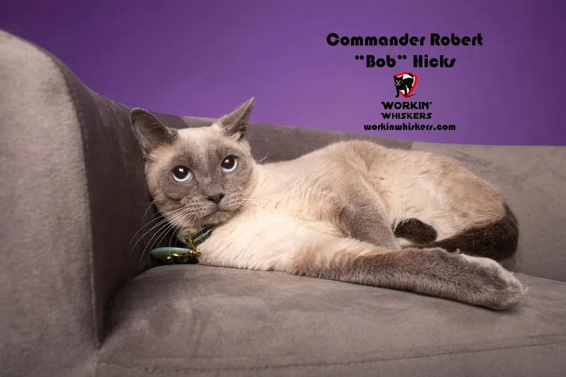 Commander Robert "bob" Hicks thumbnail 5