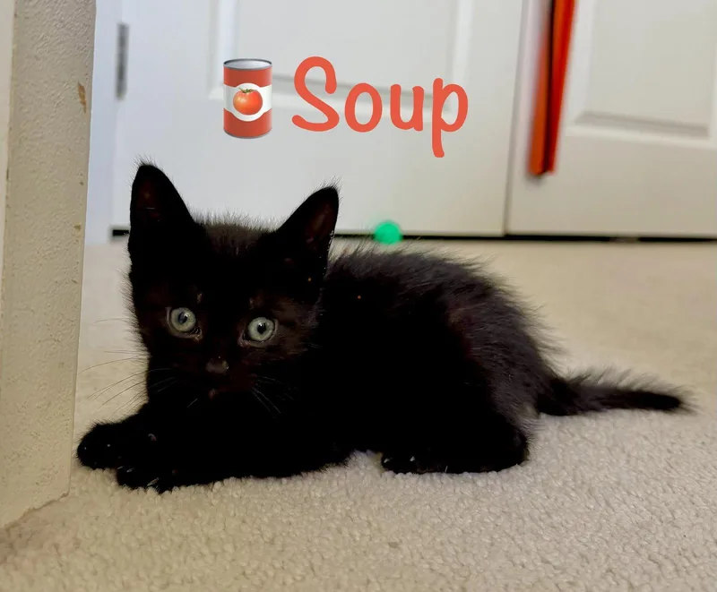 Soup thumbnail 3