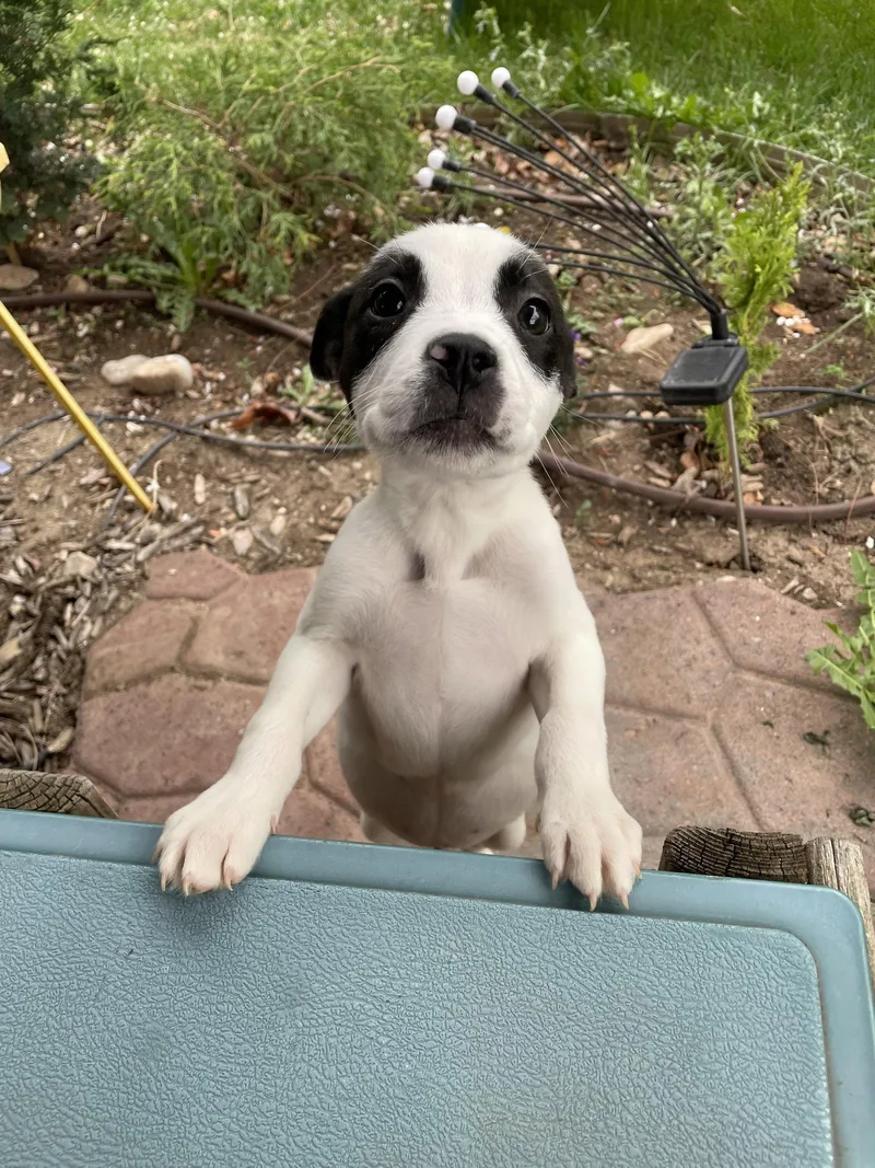 Teeny Tiny thumbnail 2