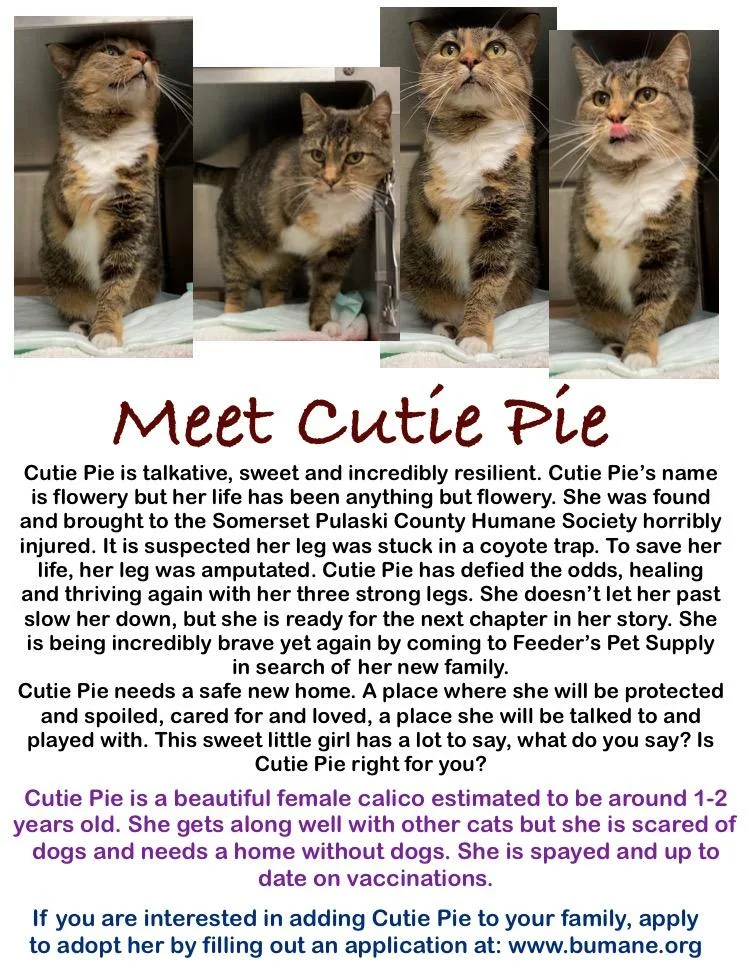 Cutie Pie Moore thumbnail 2